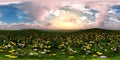 Panorama of a flower meadow, HDRI, environment map Royalty Free Stock Photo