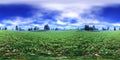 Panorama of a flower meadow, flower hills view. HDRI . equidistant projection Royalty Free Stock Photo