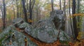 Panorama with fog forest. Beech trees. Fall scenery. From the lawn covered with orange leaves is located beautiful old stone. Royalty Free Stock Photo