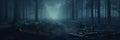 panorama of foggy forest fairy tale spooky looking woods