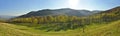 Panorama of forest countryside Royalty Free Stock Photo