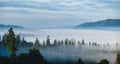 Panorama of forest covered by low clouds. Autumn rain and fog on the mountain hills. Misty fall woodland. Royalty Free Stock Photo