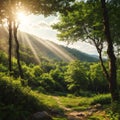 A panorama of a forest of fresh green trees with the sun shining through the fol...