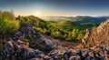 Panorama of forest and mountain in Carpathian with sun, Slovakia Royalty Free Stock Photo