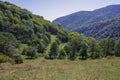 Panorama forest and rocks of Dilijan National Park Royalty Free Stock Photo
