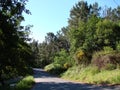 The outskirts of the town of Pontevedra. Spain. Forest landscape and panorama of the seaside around the town.