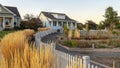Panorama frame Golden ornamental grass alongside a picket fence Royalty Free Stock Photo