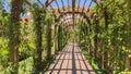 Panorama frame Stine brick pathway under a wooden arbor at a wedding venue on a sunny day Royalty Free Stock Photo