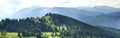 Panorama of fresh green hills in Carpathian mountains in spring Royalty Free Stock Photo