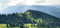 Panorama of fresh green hills in Carpathian mountains in spring Royalty Free Stock Photo