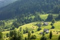 Panorama of fresh green hills in Carpathian mountains in spring Royalty Free Stock Photo