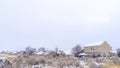 Panorama Frosted neighborhood scenery with houses and plants blanketed with winter snow