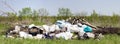 Panorama of a garbage dump in a field. Environmental pollution. Poverty. The global problem of humanity Royalty Free Stock Photo