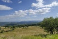 Panorama of glade, green mountain forest and wilderness field in Vitosha mountain