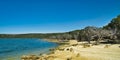 Panorama of gnarled old paperbark trees on an Australian beach Royalty Free Stock Photo