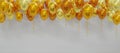 Panorama gold or yellow Balloons are floating for Party and Celebrations With Space for texts. Balloons floating for birthday,