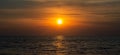 Panorama of golden sunrise or sunset over the sea, ocean. Flock of birds flying on the background of the sun. Royalty Free Stock Photo