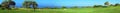 Panorama of Golf field, sea and olives Royalty Free Stock Photo