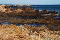 Africa- Beautifully Colorful Jagged Coastal Rock Formations
