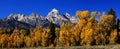 Panorama: Grand Teton with autumn golden aspens,