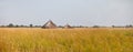 Panorama of grassland of south sudan