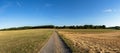 Panorama of a gravel road between agricultural fields on a summer morning with blue sky Royalty Free Stock Photo