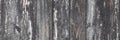 Panorama gray old wooden wall template