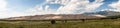 Panorama of Great Sand Dunes NP Royalty Free Stock Photo