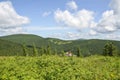 Panorama of green Carpathian mountains and camp site Zaroslyak. Carpathian Mountains Royalty Free Stock Photo