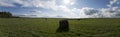 Green field with hay bales Royalty Free Stock Photo