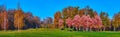 Panorama of the green glade and colored autumn park Royalty Free Stock Photo