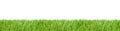 Panorama of green grass on a white background Royalty Free Stock Photo