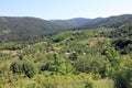 Green hill panorama view, preserved nature environment. Royalty Free Stock Photo