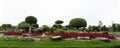 Panorama of green tree and bush with rock decoration in public park garden and blue sky. Royalty Free Stock Photo