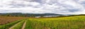 Panorama on a meadow with a dirt path against the backdrop of river Rhine and villages in the hills Royalty Free Stock Photo