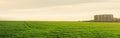 panorama of green winter wheat field and houses on the edge of the city Royalty Free Stock Photo