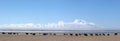 Panorama of Gurla Mandhata Mount and herd of yaks in Tibet Royalty Free Stock Photo