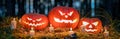 Panorama of Halloween pumpkin head jack o lanterns with burning candles in scary deep night forest. Halloween holiday design Royalty Free Stock Photo