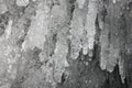 Panorama of Hanging Icicle, Icicle Stalactite Hanging Inside the Rocky Caves, Lake Baikal Royalty Free Stock Photo