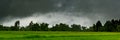 Panorama heavy clouds storm of rain on sky over rice field in rural Royalty Free Stock Photo