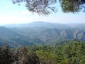 Mount Troodos at an altitude of 900 m above sea level. Cyprus. Forest landscapes on the slopes of the mountain ranges.