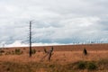 Panorama of the High Fens in autumn, Belgium. Royalty Free Stock Photo