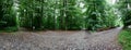 Panorama hiking paths cross road Sonian forest,  Brussels, Belgium Royalty Free Stock Photo