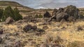 Panorama Hiking trail through boulder strewn grassland with rocks