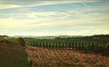 Panorama of the hills of San Gimignano, Tuscany in Italy.