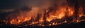 A panorama of a huge forest fire burning trees during the evening Royalty Free Stock Photo