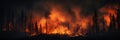 A panorama of a huge forest fire burning trees during the evening