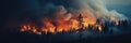 A panorama of a huge forest fire burning trees during the evening