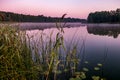 Panorama on huge lake or river with reflexion in morning with beautiful awesome pink sunrise Royalty Free Stock Photo
