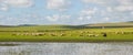 Panorama of Hulunbuir prairie natural scenery in summer Royalty Free Stock Photo